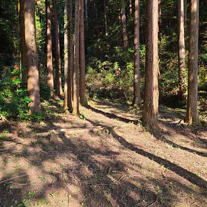 「まきのした山」ギャラリー画像